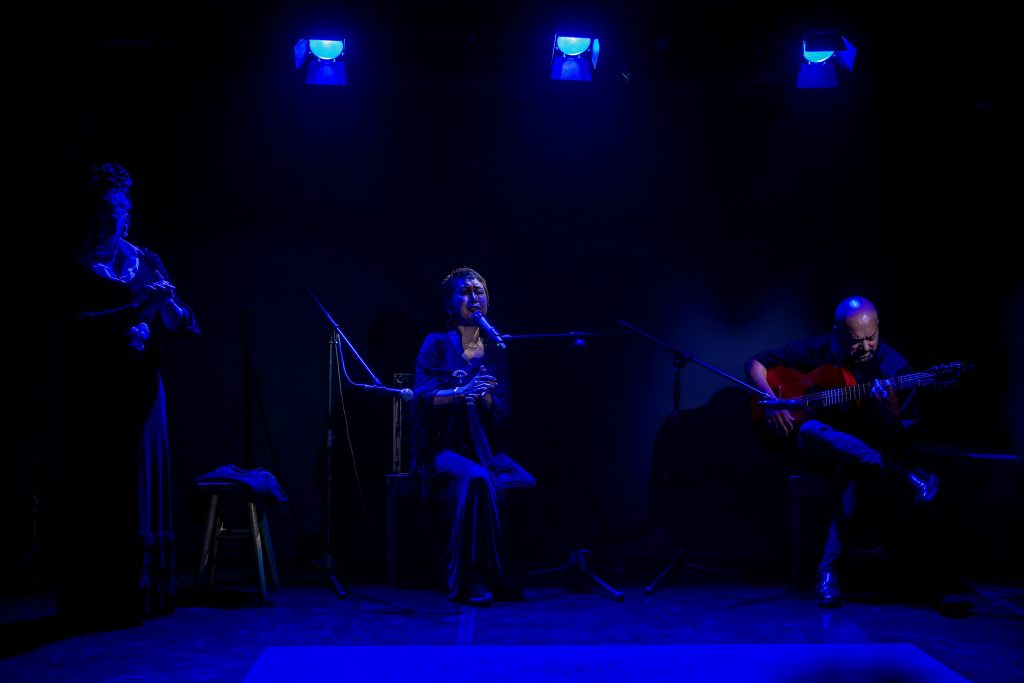 show-flamenco-intimo-madrid